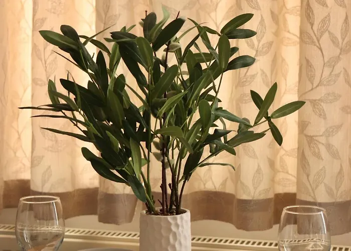 2 Bedroom Free Wifi And Parking *